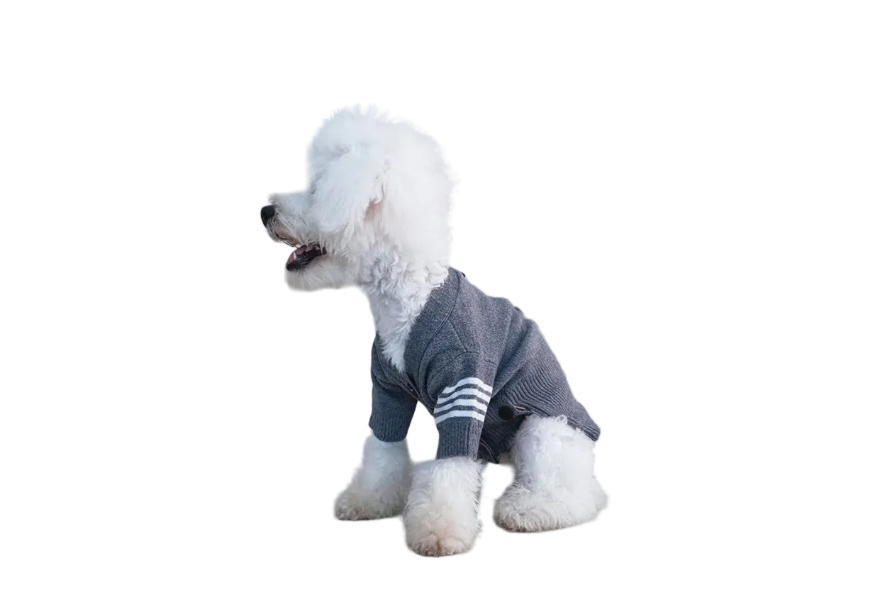 rio’s new york knit dog sweater