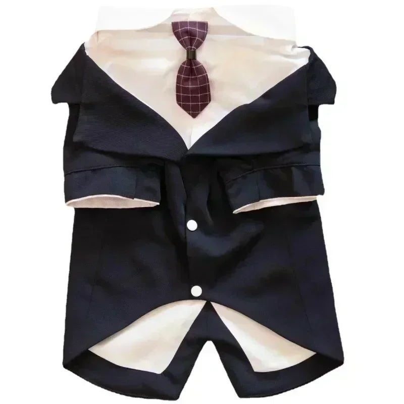 Rio’s Formal Paw Suit