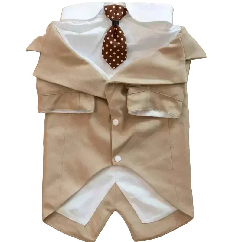 Rio’s Formal Paw Suit