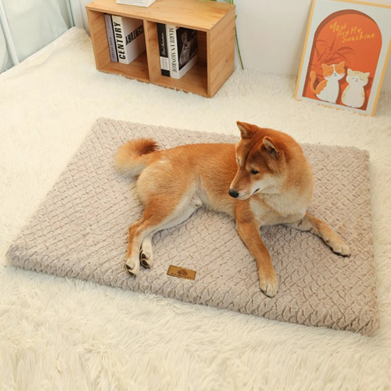 Rio’s Cozy Corner