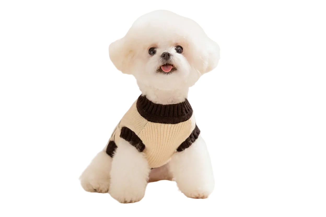 rio’s cozy monster knit dog sweater