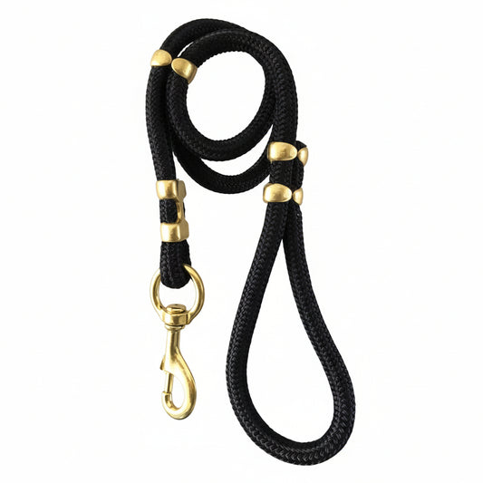 rio’s city walk leash nylon dog leash