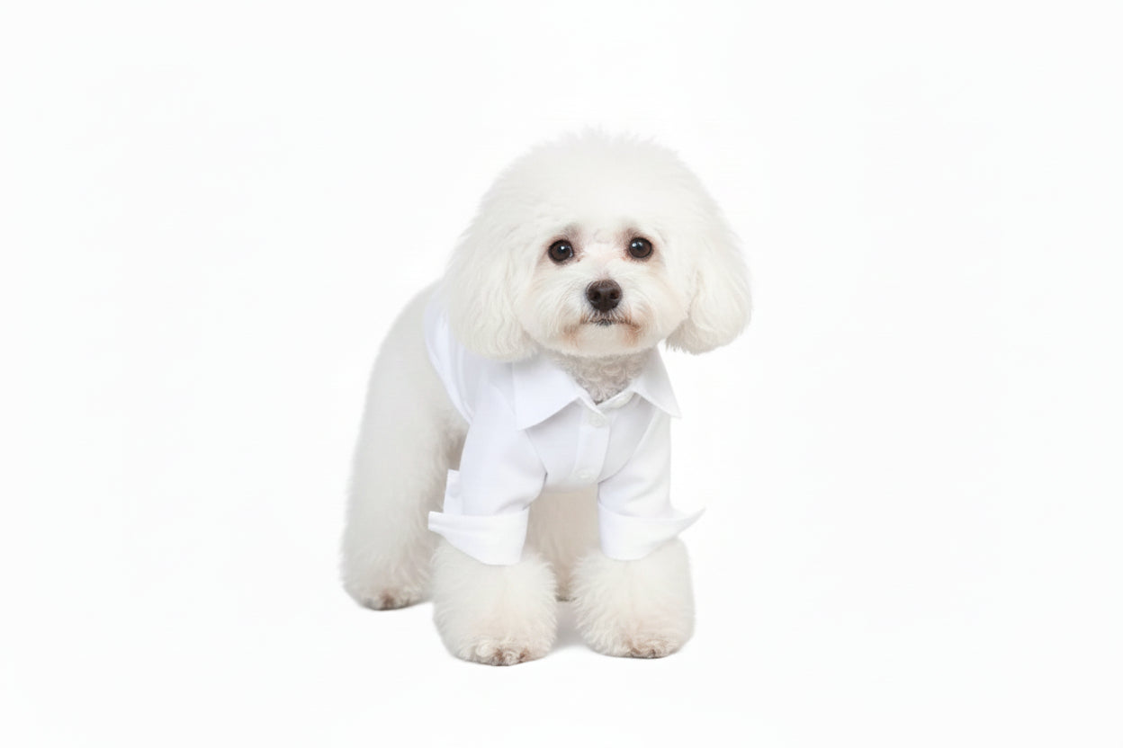 Rio’s Gentleman Shirt