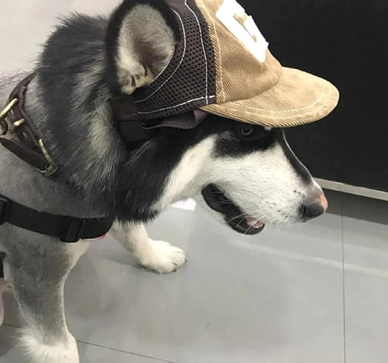 Rio’s Sun Snout Cap